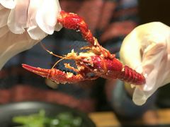 -红钳侠小龙虾·烧烤(中赢康康谷店)