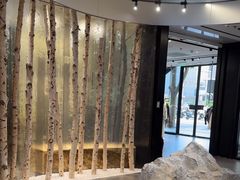 -ARC'TERYX始祖鸟(北京王府中环店)