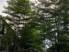-四海公园(南山区)