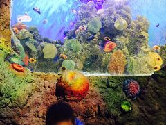 -洛阳龙门海洋馆