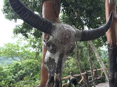 -海南槟榔谷黎苗文化旅游区