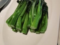 生炒广东菜心-大树餐厅(益田假日店)