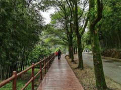 -广州市石门国家森林公园