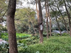 -西郊宾馆·1921餐厅