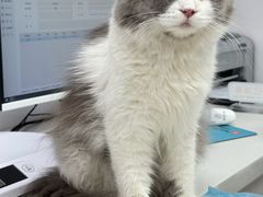 -博特宠物医院24h犬猫全科.骨科·异宠