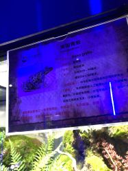 -未来动物城主题公园(正弘城店)