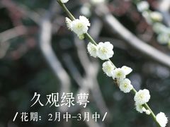 -静安雕塑公园