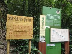 -莫里热带雨林景区