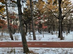 -长春市南湖公园