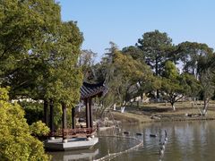 -江心屿景区