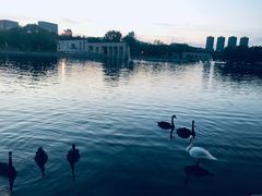 -长春世界雕塑园冰雪艺术天地