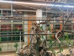 -荔城生鲜盛宴(番禺旗舰店)