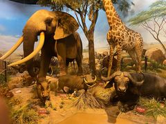 -陕西自然博物馆