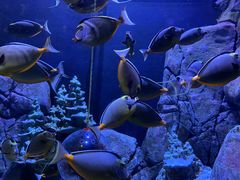 -成都浩海立方海洋公园