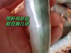 渤海湾大对虾-燕春楼(海河华鼎店)