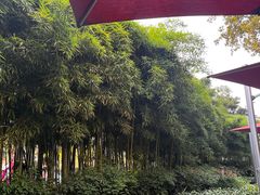 -杭州君悦酒店·青莳