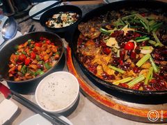 -老板恋上鱼(恒隆广场店)