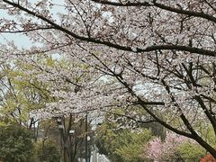 -相门城墙文化休闲景区