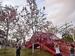 -白石龙音乐公园