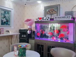-安院长·产后恢复·徒手骨盆(先天下店)