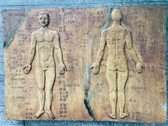 -广州神农草堂中医药博物馆