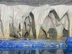 -太平洋海底世界