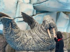 -海合安成都极地海洋公园
