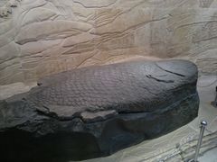 石鱼-白鹤梁水下博物馆