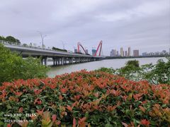 -艾溪湖湿地公园