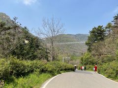 -木兰云雾山