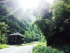 -神龙峡风景区