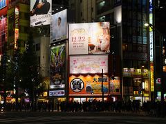 -秋叶原电器街
