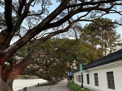 -江心屿景区