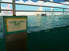 -北戴河圣蓝海洋公园