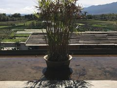 -翠田Green Field Kitchen