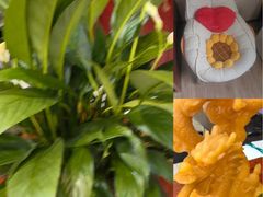 -康熙养生SPA·轻奢足道(江宁万达店)