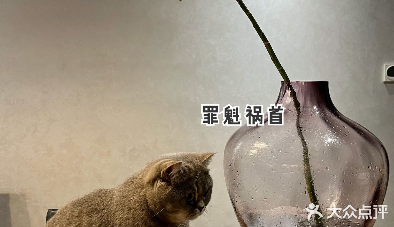 慎用岩板！太脆！岩板翻车更换后续来了……花瓶没想到自己能赢‼️