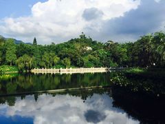 -大埔公路-马料水段香港中文大学(公交站)