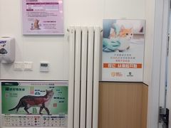 -瑞派·关忠动物医院·猫专科·犬专科(三环新城店)
