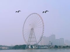 -无锡蠡湖国家湿地公园-蠡园