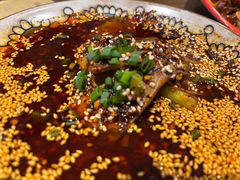 -柴窝堡22号辣子鸡·传承新疆菜