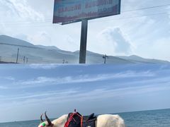 -青海湖国家重点风景名胜区