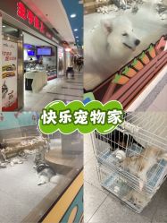 -紫颖·专业美胸·连锁养护中心