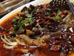 香辣毛血旺-東舍食唐精品陕菜馆