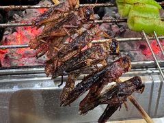 -小寒羊烧烤(凯瑞时代大厦店)