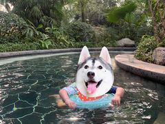 -海兰云天度假区温泉