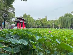 -四川大学(望江校区)
