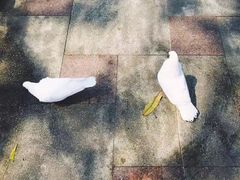 -国色天乡三期陆地乐园