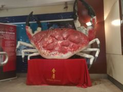 -金唐海鲜酒家