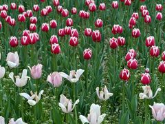 -长春公园(普阳街道)